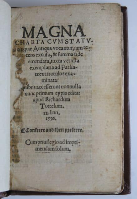 magna3