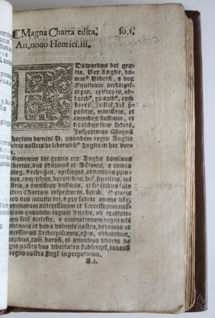 magna4